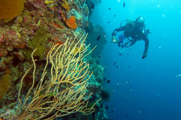 The Solomon Islands is renowned as one of the world’s foremost dive locations.