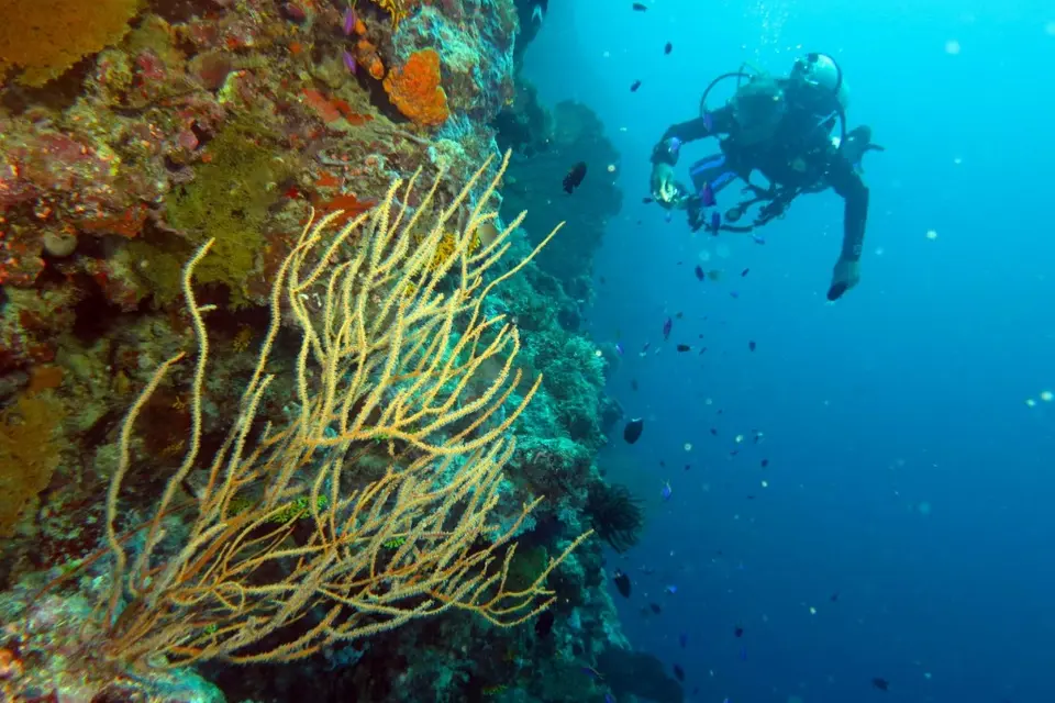 The Solomon Islands is renowned as one of the world’s foremost dive locations.