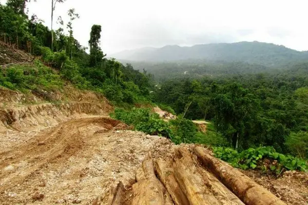 a total of 450 Foreign Investments in Western, Isabel, Guadalcanal, Rennell and Bellona and Central Province were inspected during an operation by the Business Monitoring Joint Agencies Committee. As a direct result of the inspections, the Government has so far collected a total revenue of SBD$400,000 with more to be collected.