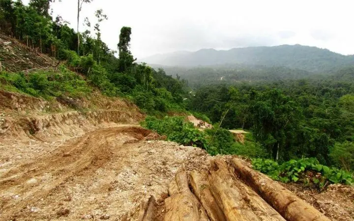 a total of 450 Foreign Investments in Western, Isabel, Guadalcanal, Rennell and Bellona and Central Province were inspected during an operation by the Business Monitoring Joint Agencies Committee. As a direct result of the inspections, the Government has so far collected a total revenue of SBD$400,000 with more to be collected.