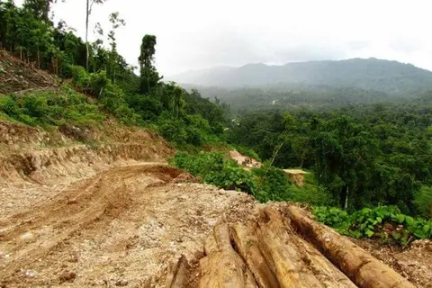 a total of 450 Foreign Investments in Western, Isabel, Guadalcanal, Rennell and Bellona and Central Province were inspected during an operation by the Business Monitoring Joint Agencies Committee. As a direct result of the inspections, the Government has so far collected a total revenue of SBD$400,000 with more to be collected.