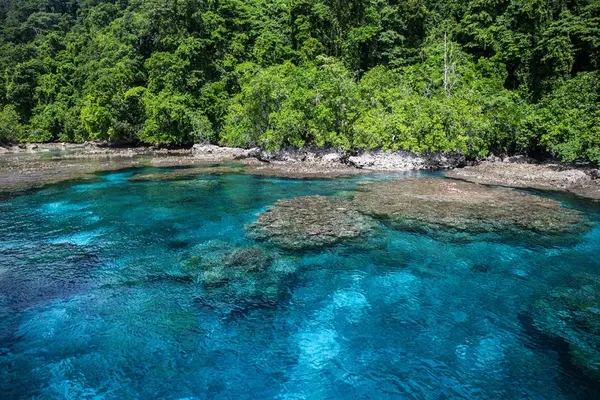 Photographers are invited to submit their best photos or portfolios of life above or underwater in Solomon Islands.