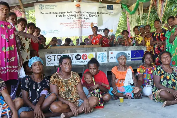 The “FAO-Thiaroye Technology” is an innovative technology that empowers fisherwomen to own and operate profitable fish businesses.