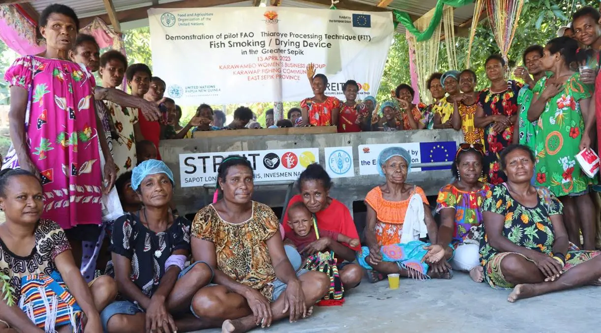 The “FAO-Thiaroye Technology” is an innovative technology that empowers fisherwomen to own and operate profitable fish businesses.
