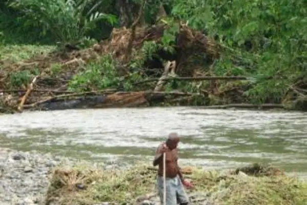 Fred searching for food as flood waters slowly subsides.