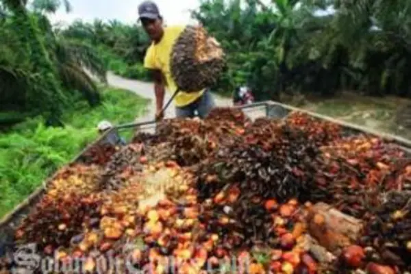 Workers Leave Out of Fear