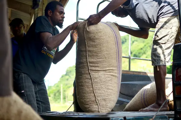 Domestic and international market access continues to be a policy challenge; there are only a handful of manufacturers who are able transform raw products to globally accepted quality standards.
