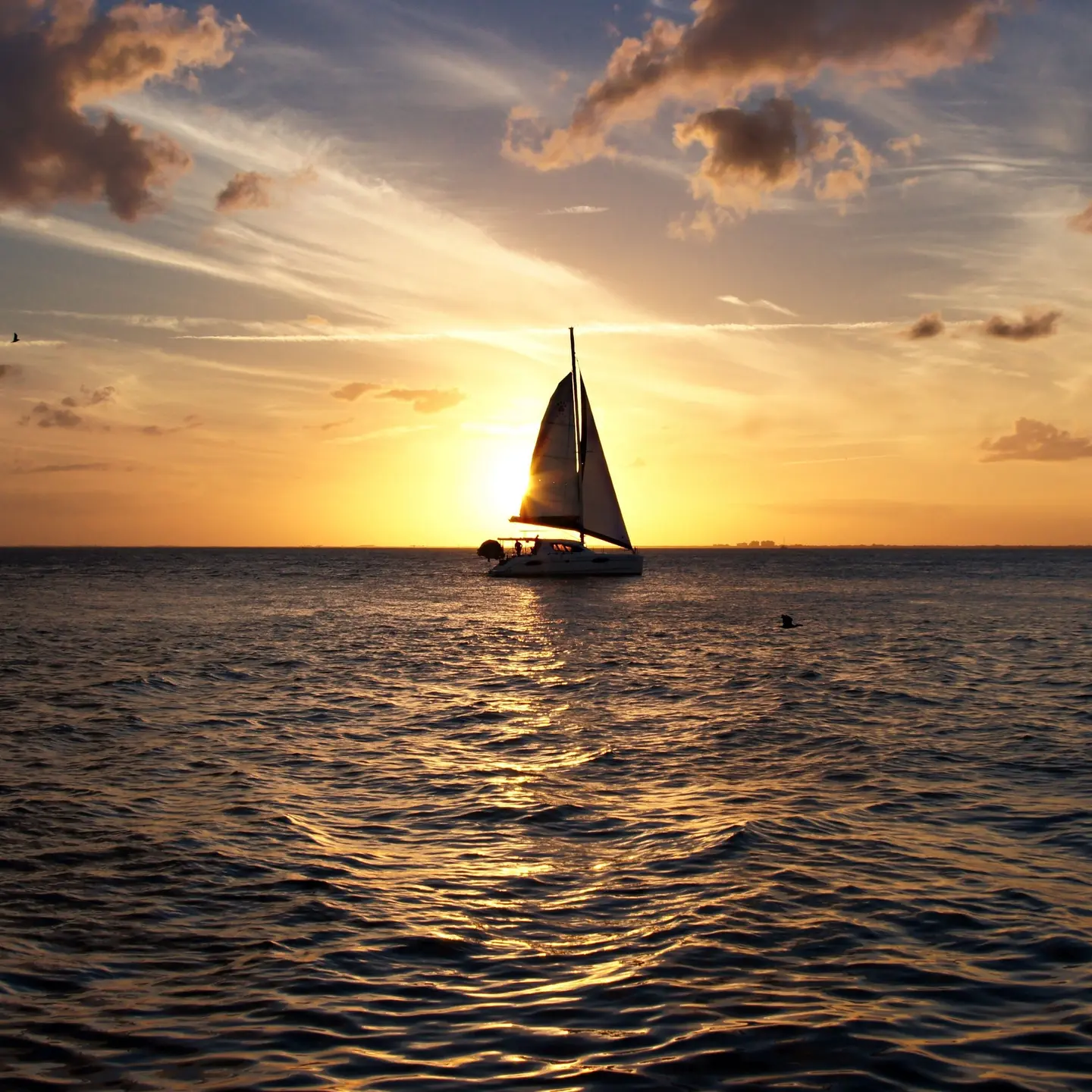 The Ministry says it is very aware and concerned that locals are approaching these foreign maritime vessels to trade, and are calling on such practice to stop immediately.