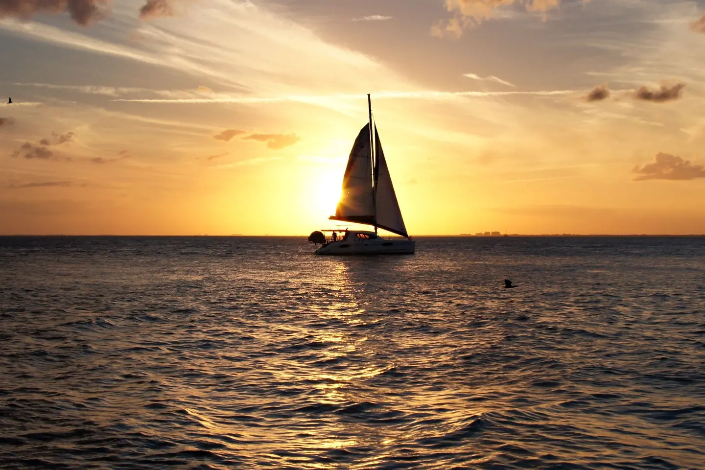 The Ministry says it is very aware and concerned that locals are approaching these foreign maritime vessels to trade, and are calling on such practice to stop immediately.