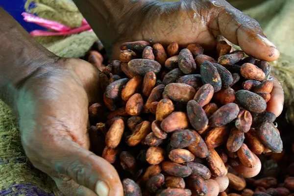 The primary objective of the ESP is to assist the productive sector stakeholders to maintain productive output at all levels of the production chain.
