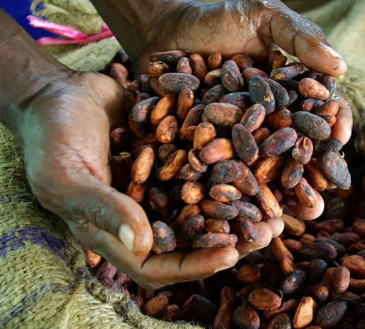 The primary objective of the ESP is to assist the productive sector stakeholders to maintain productive output at all levels of the production chain.
