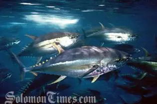 The new access fees will be charged when all fishing boats renew their license for 2011 at the end of this year.