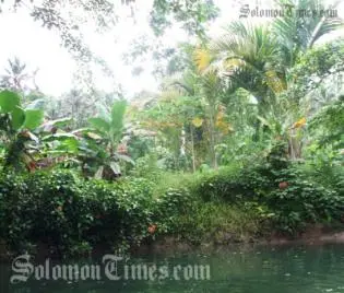 An area close to where the body of the young boy was found.
