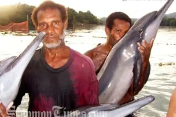 Solomon Islands tribemen hunting dolphins.