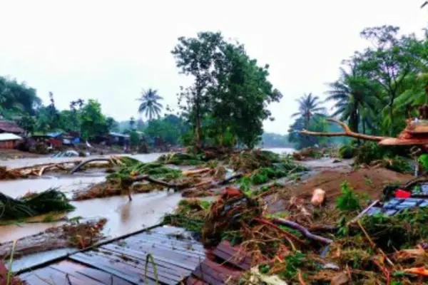 A single disaster event can result in losses in the millions of dollars and can undo progress in areas such as infrastructure, agriculture, healthcare and education.