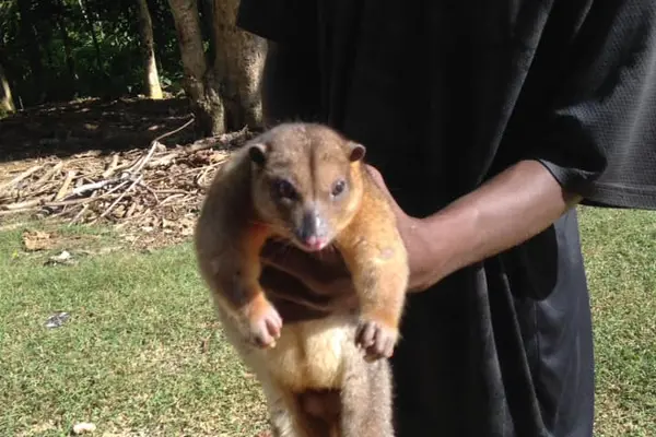 Since venturing into conservation, logging activities on Barana have stopped and villagers are now turning to eco-tourism activities to find ways to earn an income.