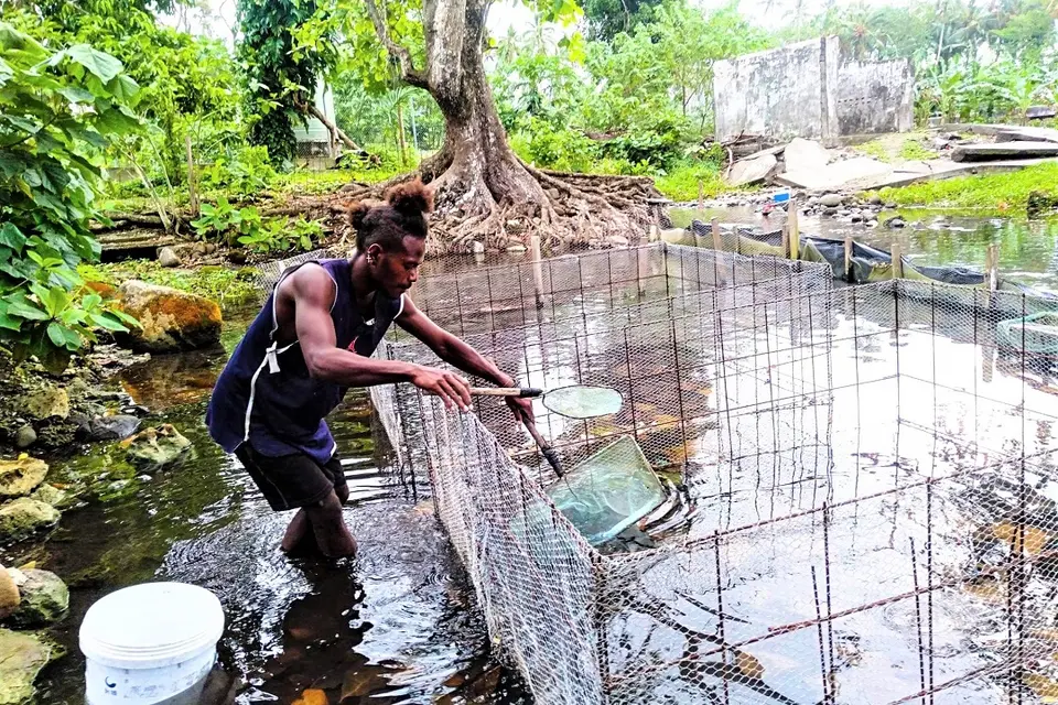 Charles says he plans to expand the tilapia farm further. He says he knows there are challenges, but he is now experienced enough to handle them.