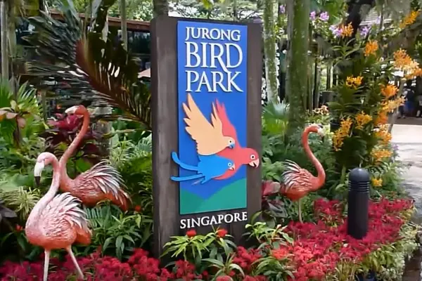 Jurong Bird Park is a world-famous bird zoo where there are specimens of magnificent bird life from around the world.