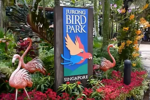 Jurong Bird Park is a world-famous bird zoo where there are specimens of magnificent bird life from around the world.