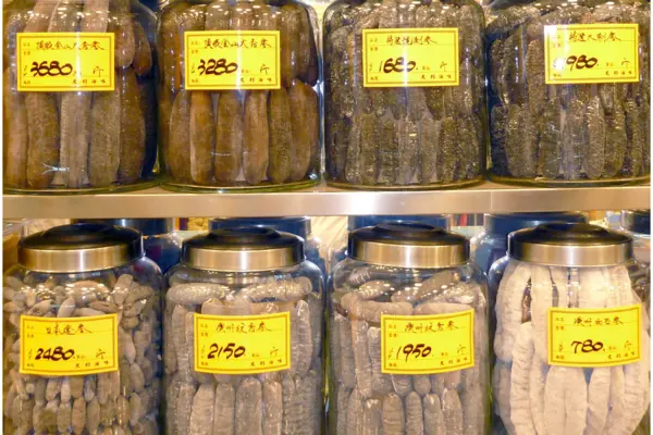High value tropical beche-de-mer on sale in jars in Hong Kong.
