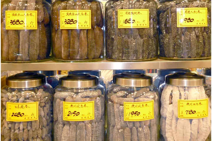 High value tropical beche-de-mer on sale in jars in Hong Kong.