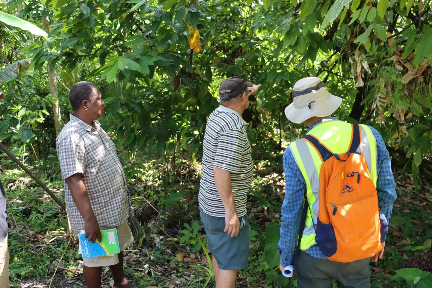 The visit highlights the ongoing collaboration between local farmers, government ministries, and international partners like the World Bank to enhance agricultural productivity and economic resilience in rural communities.